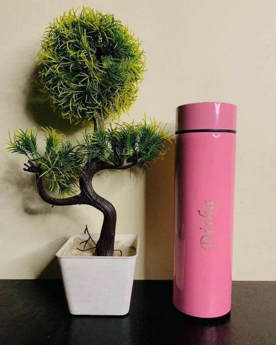 Temperature Bottle- Pink