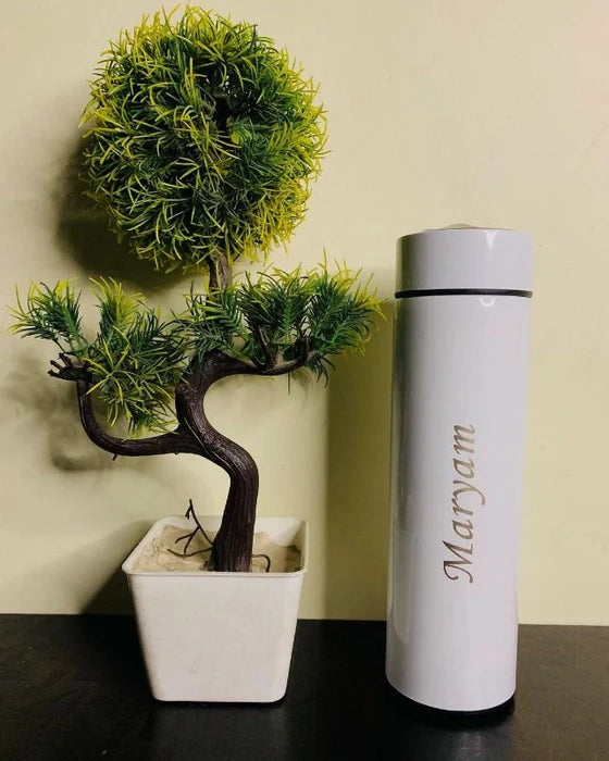 Temperature Bottle -white